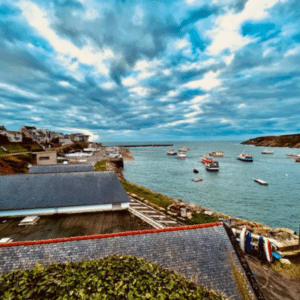 Vue côtière de Bretagne - topographie régionale.jpg